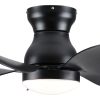 30 Inch Modern Floral Art Matte Black Indoor LED Flush Mount Small Ceiling Fan With Light and Remote Control